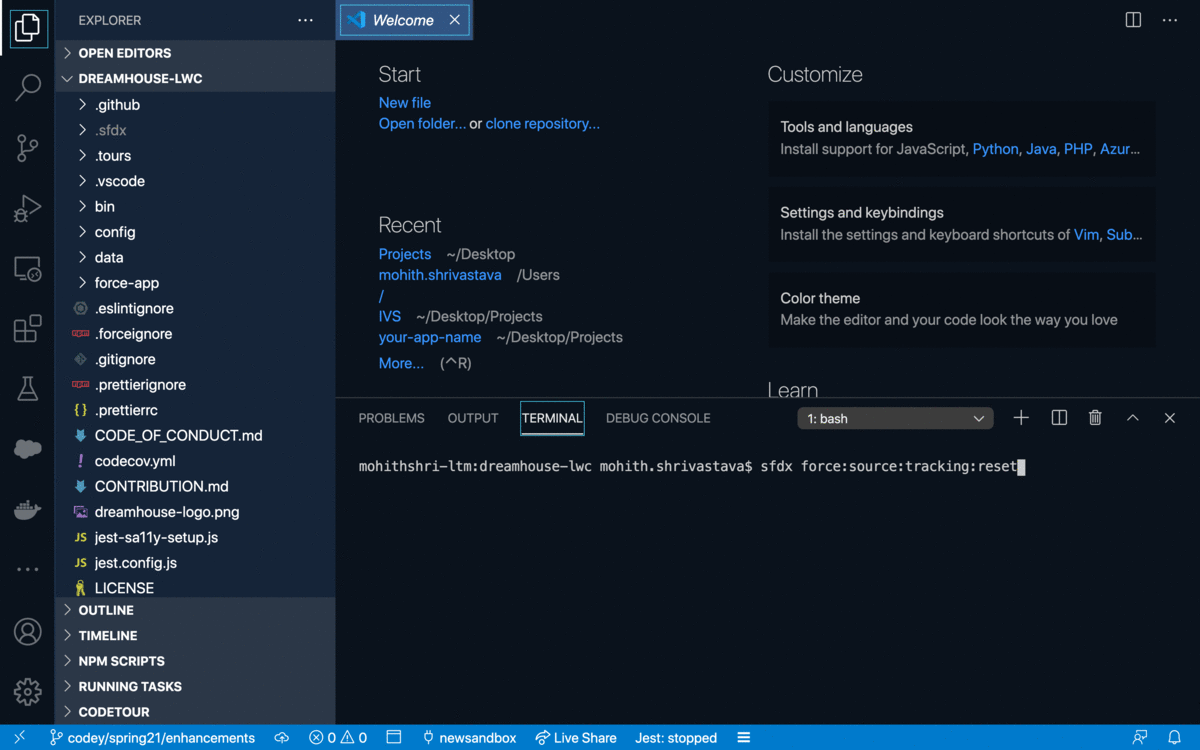 Codey resets the source tracking as remote and local project is in sync state