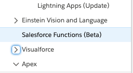 The Salesforce Functions beta menu item in the Summer 21 release notes