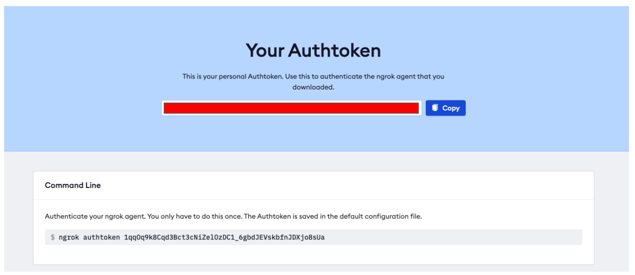 Ngrok auth token