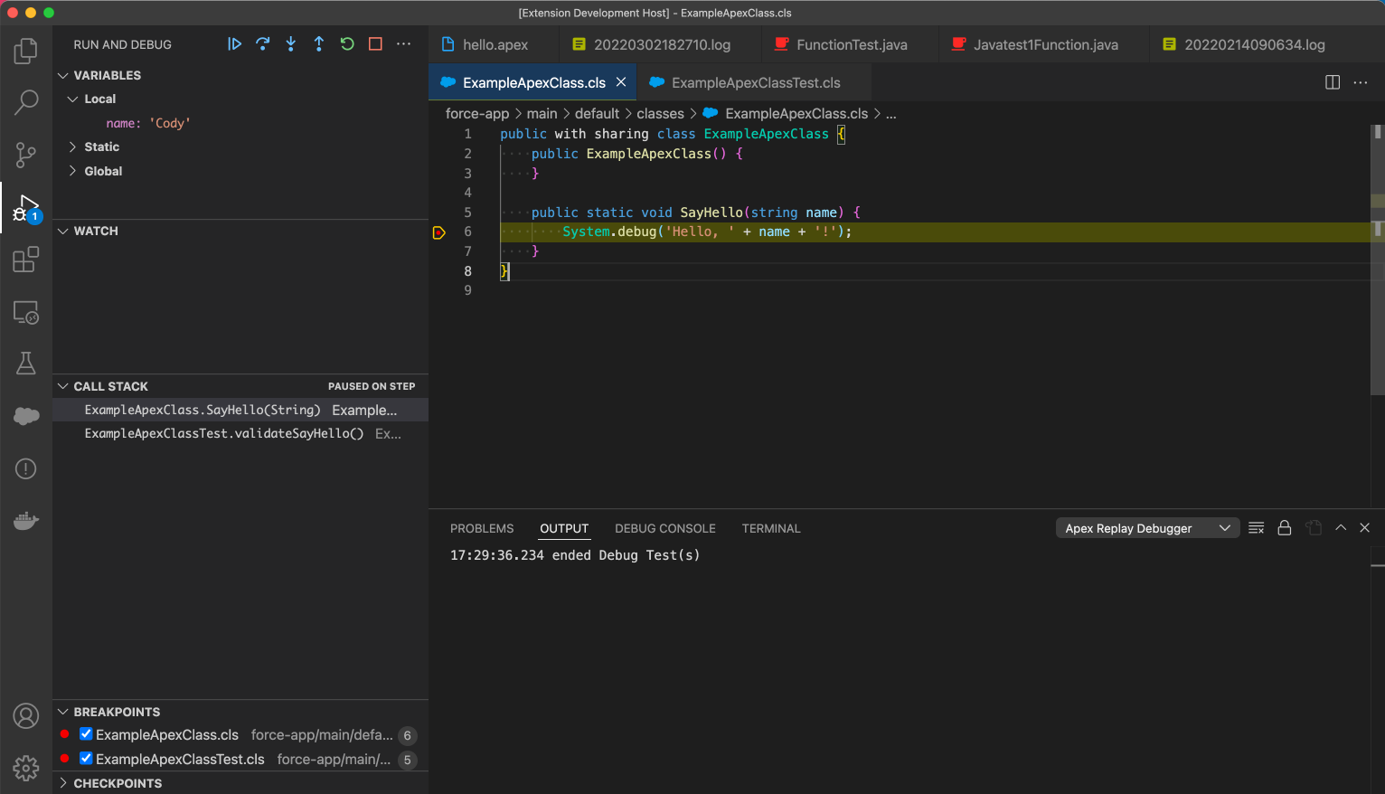 Screenshot showing a user debugging and stepping through an Apex test class