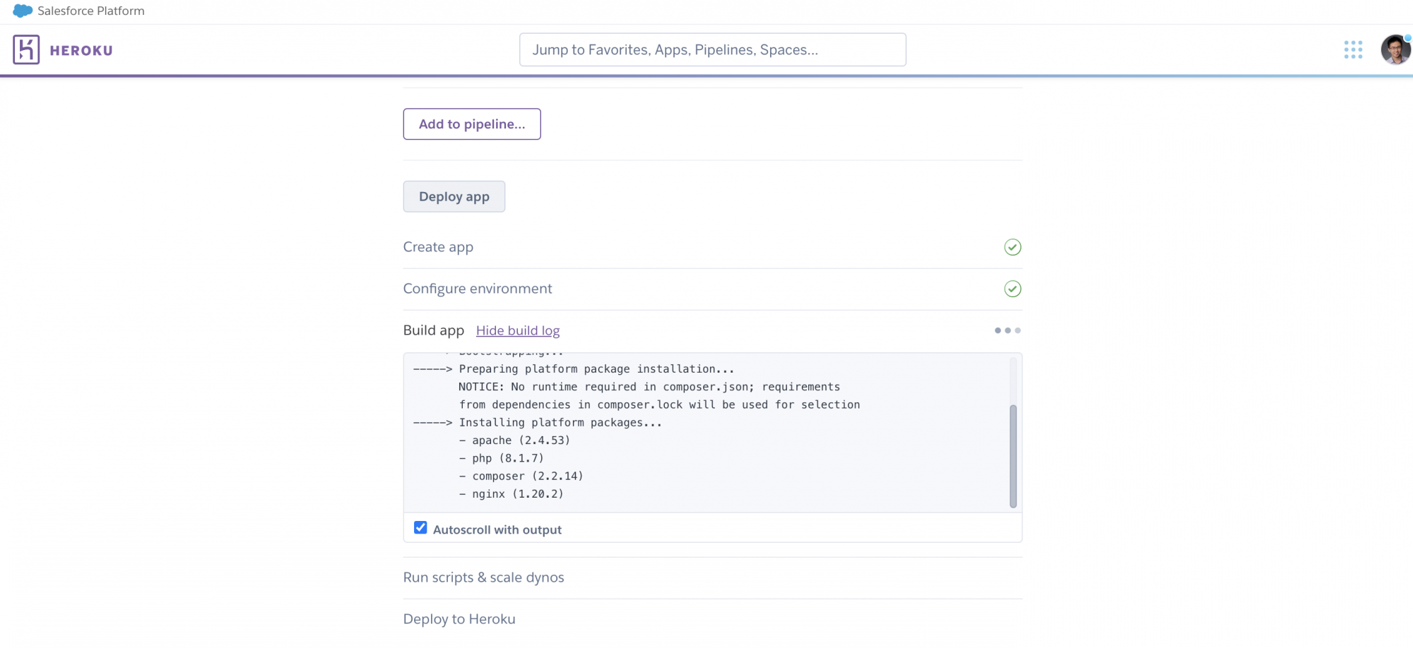 A screenshot showing Heroku installing platform packages