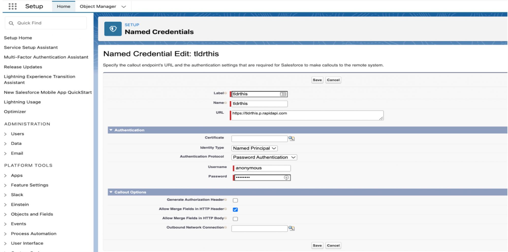 A screenshot of the Named Credential Setup page