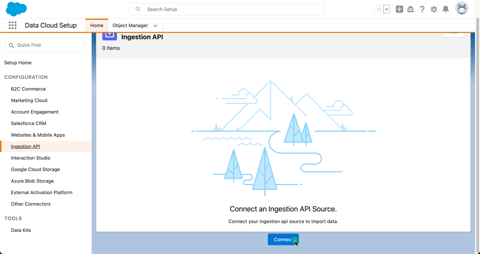 Connect an Ingestion API source form on Data Cloud setup