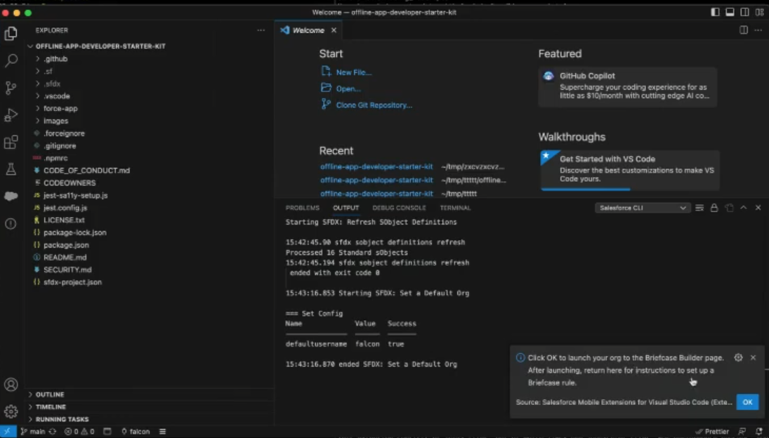 Salesforce Mobile extensions for Visual Studio Code, Briefcase Setup Step