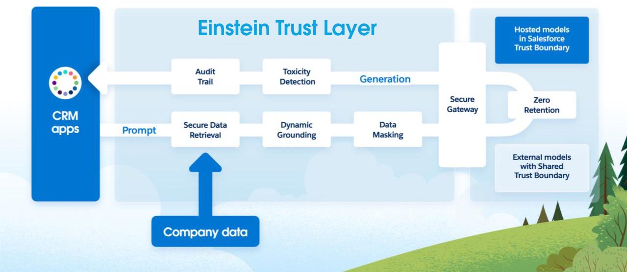 Einstein Trust Layer