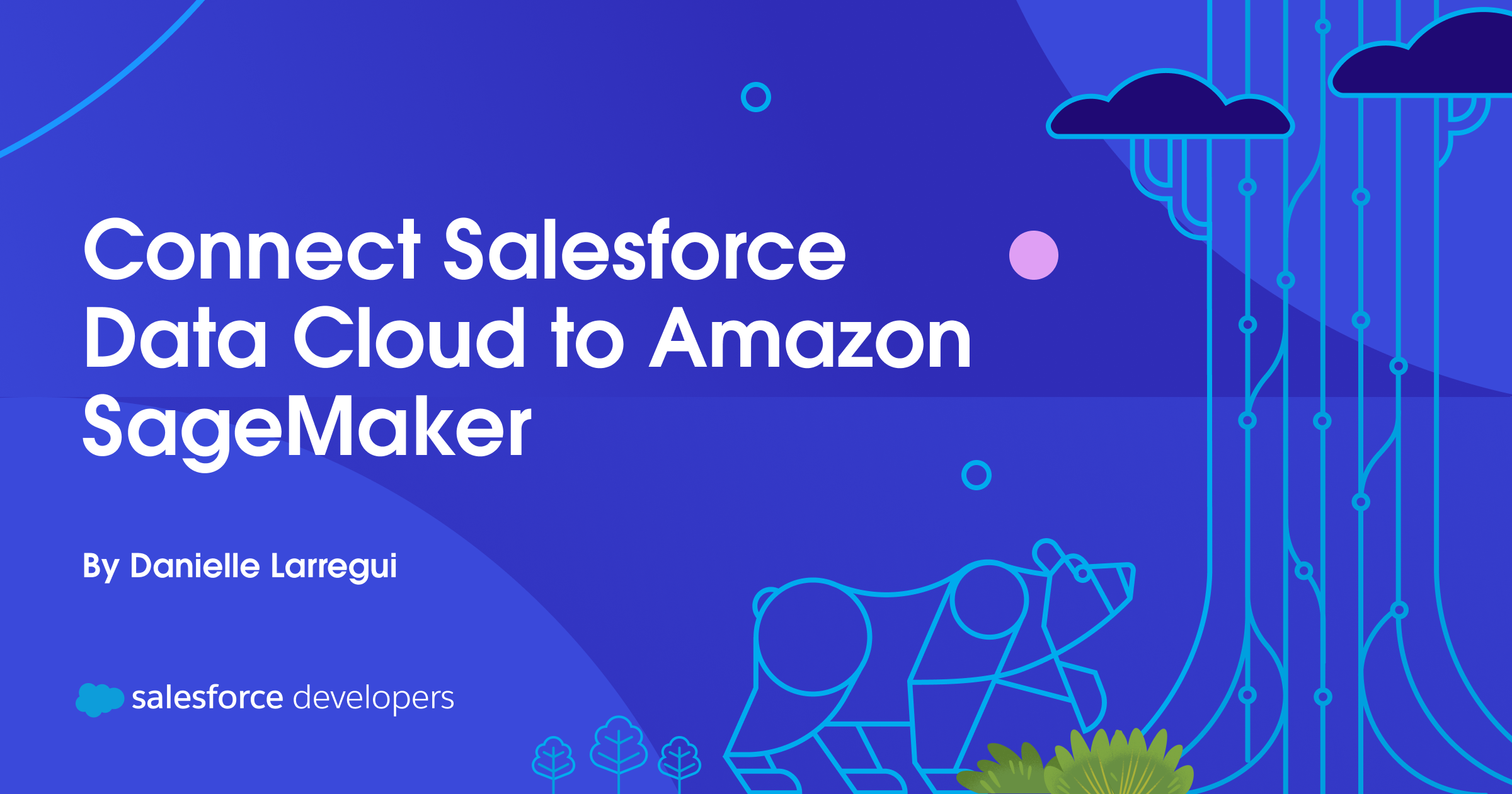Connect Salesforce Data Cloud to Amazon SageMaker