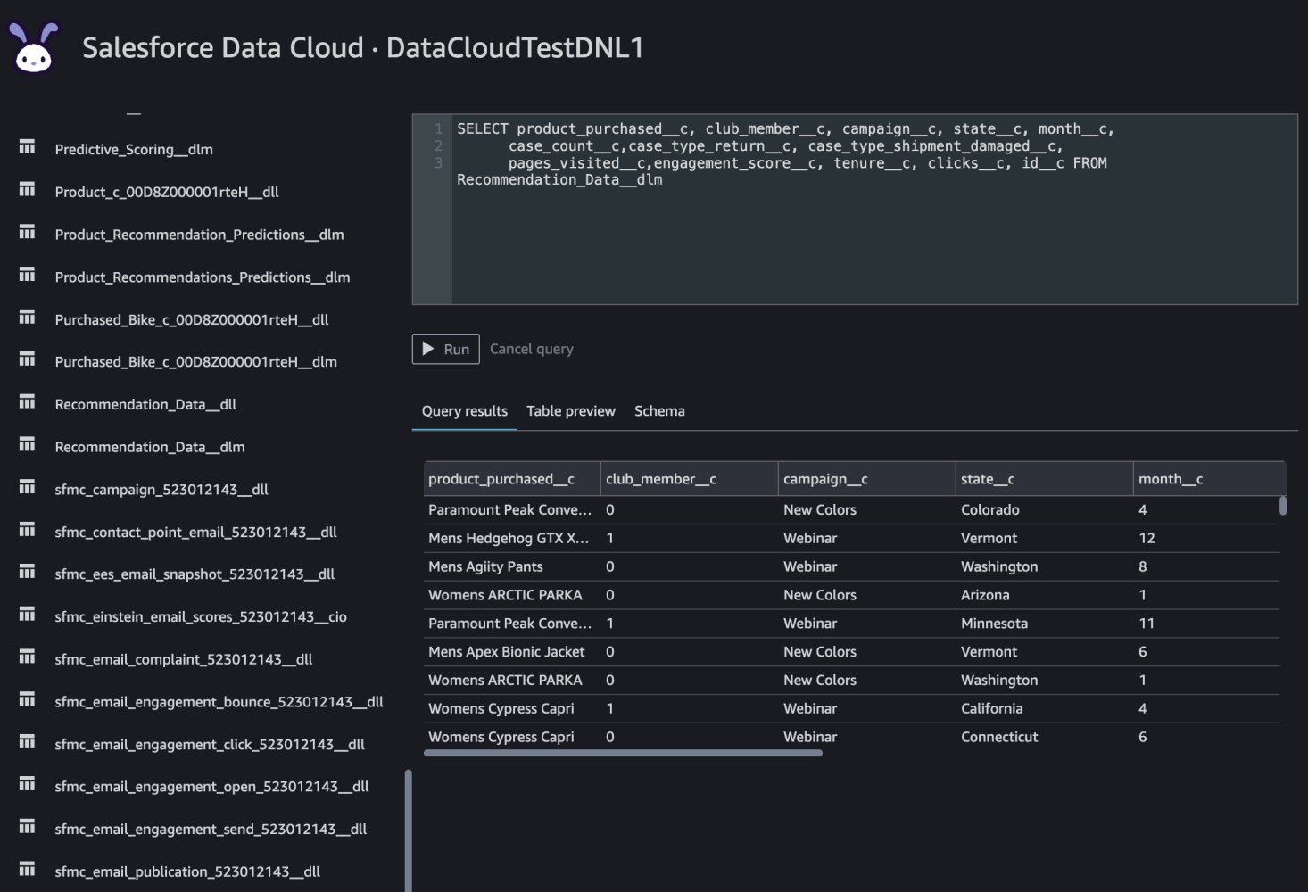 SOQL query in Amazon SageMaker.