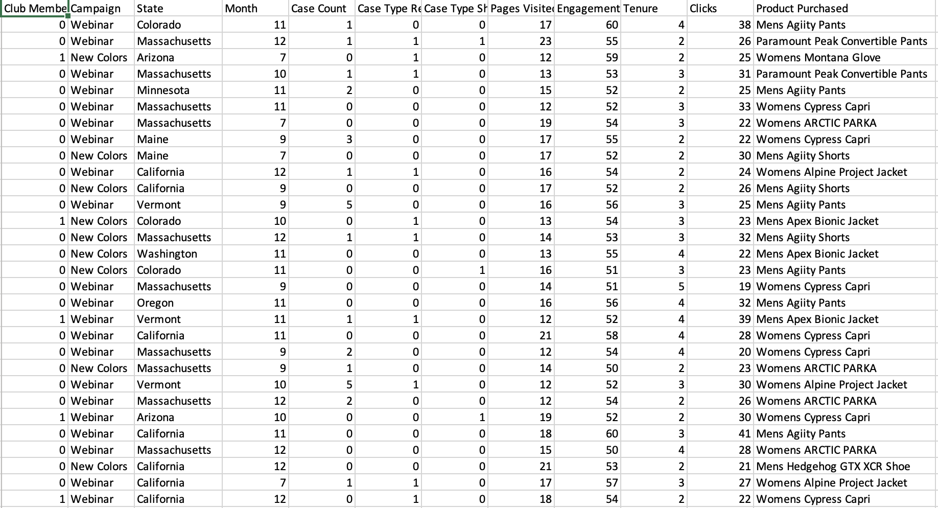 A table of customer data containing customers’ purchase history, engagement data, and other information.