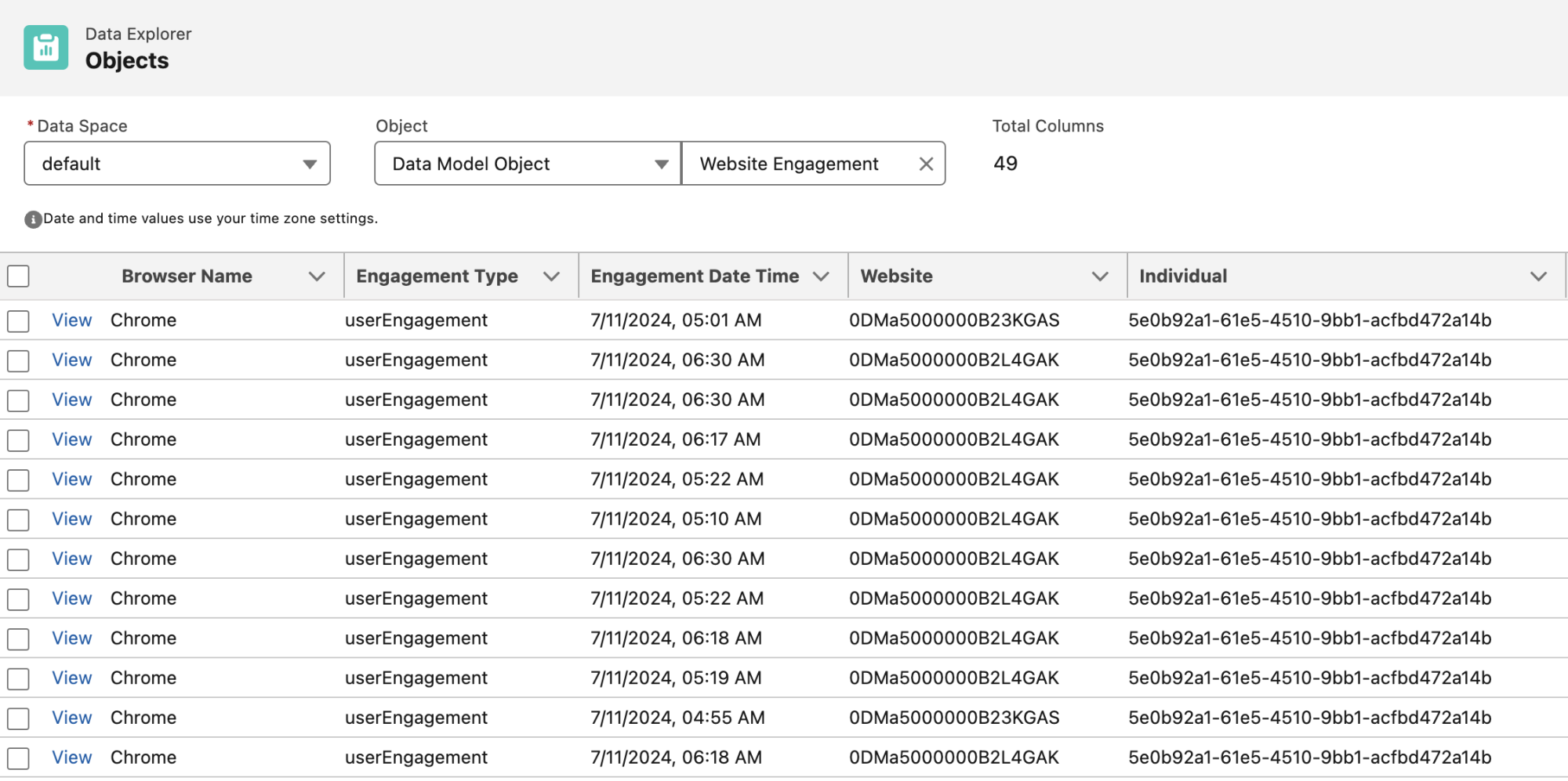 Data from Website Engagement DMO showing the Website field