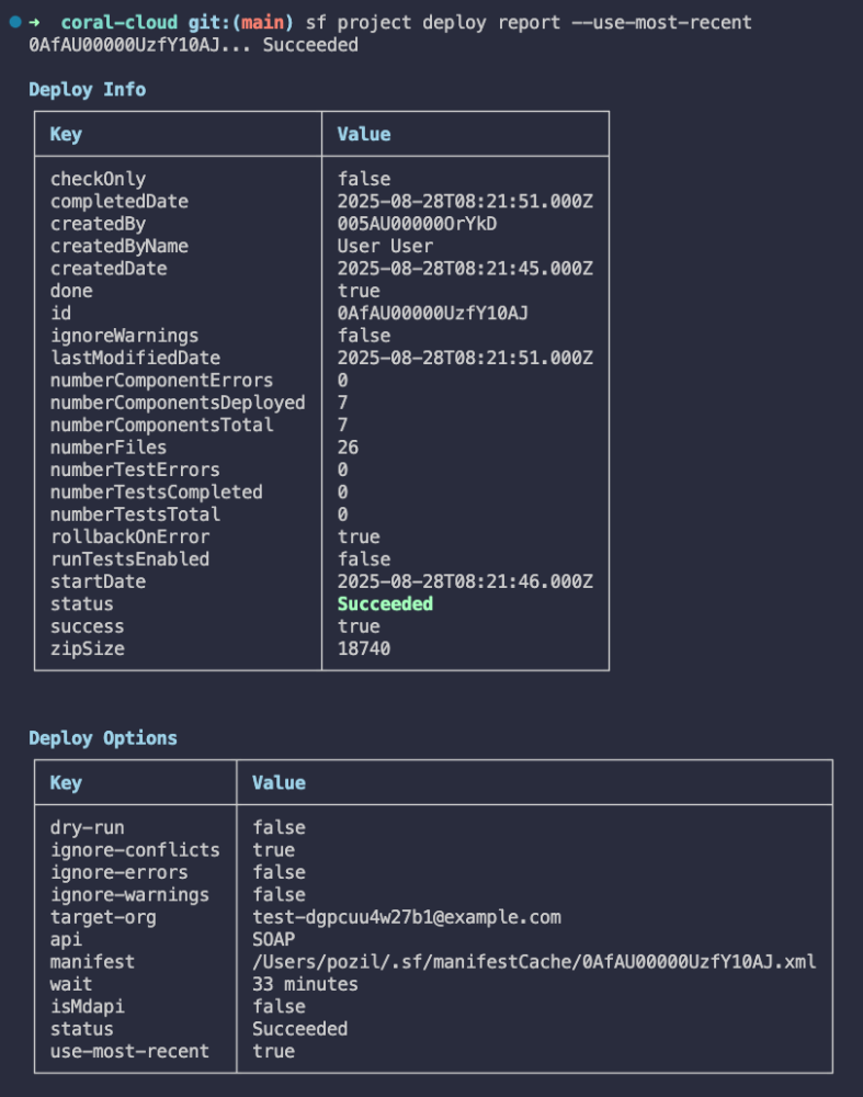 Screenshot showing a CLI deploy command and its output.