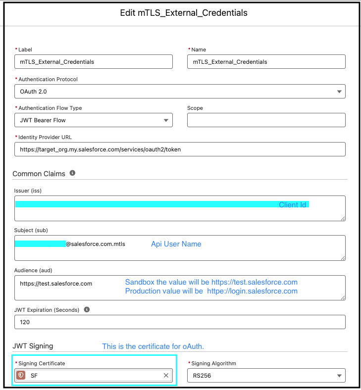 Screenshot of the Edit mTLS_External_Credentials configuration page in Salesforce 