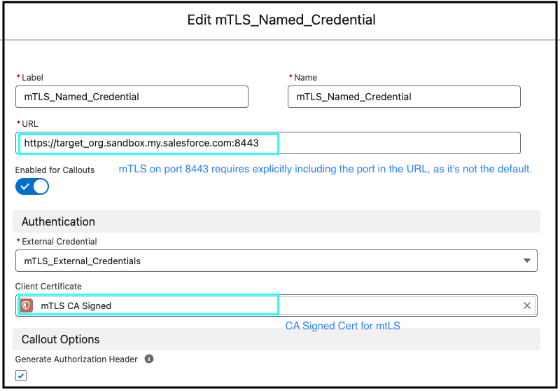 Screenshot of the UI in Salesforce mTLS Named Credential configuration.
