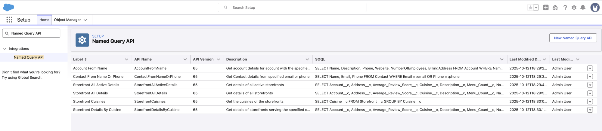 Screenshot showing list of Named Query APIs-Updated