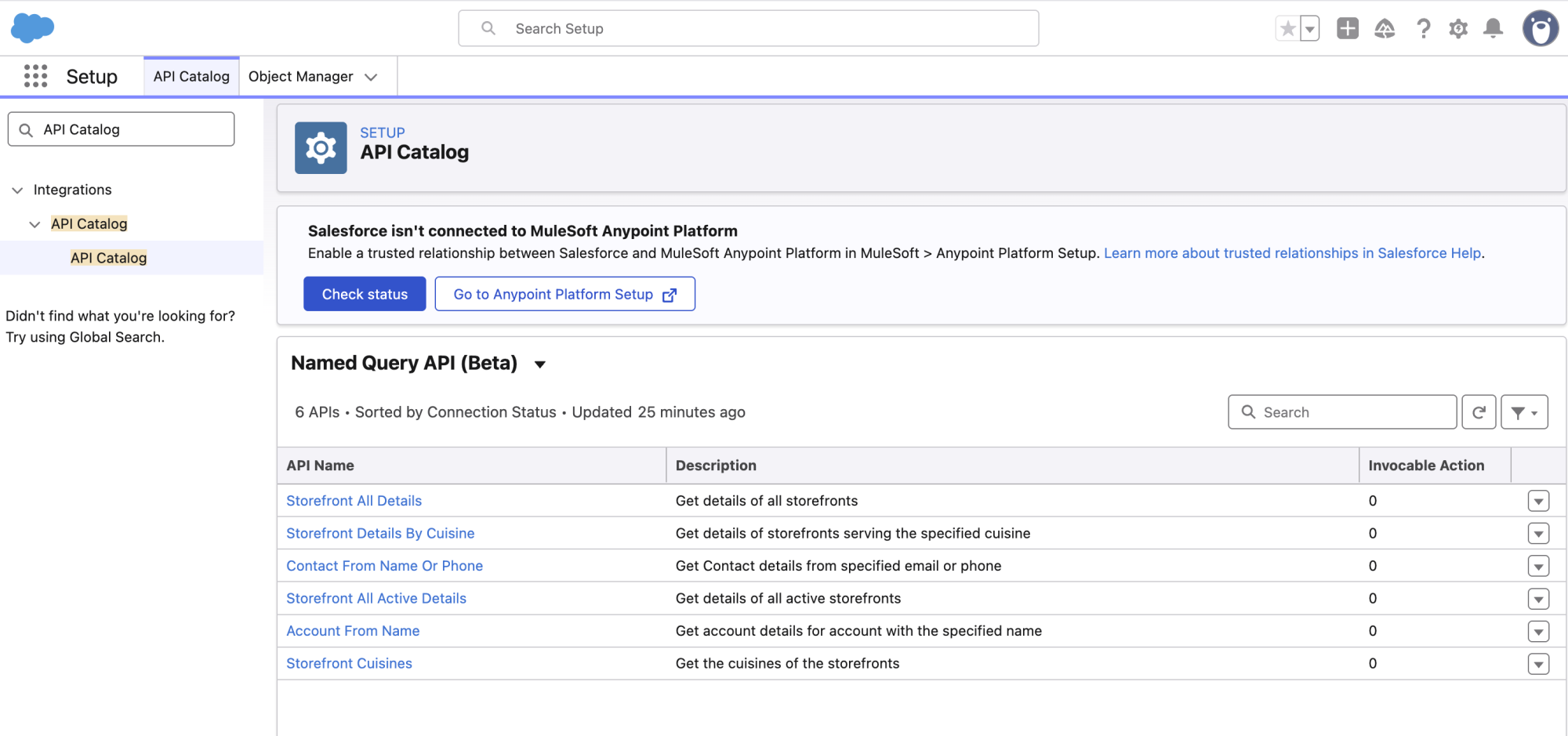 Screenshot showing the list of Named Query APIs in the API Catalog-Updated