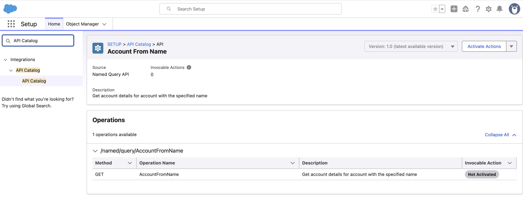 Screenshot showing the details of a Named Query API in the API Catalog-Updated