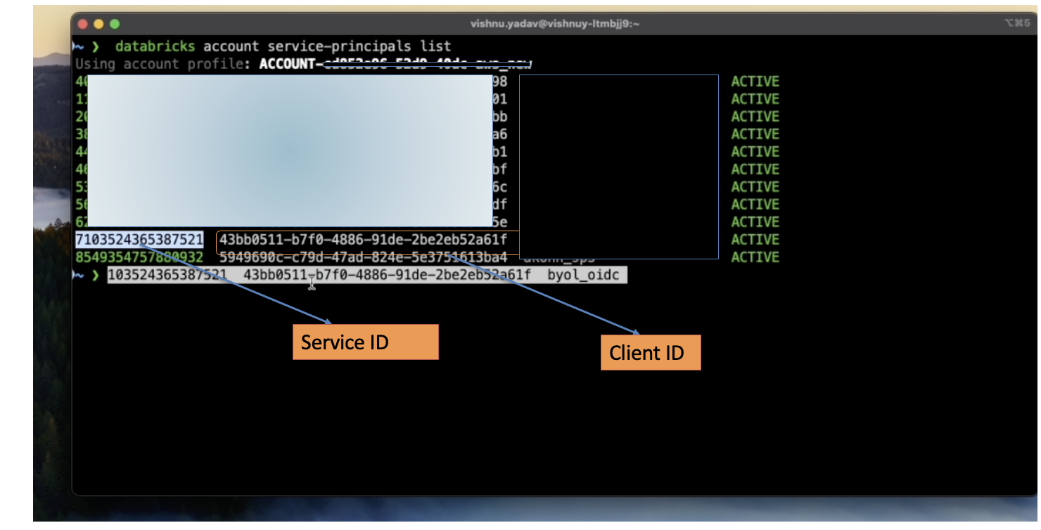 Screenshot of the Databricks CLI admin console showing the service ID