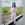 Avatar for Anjali Gupta
