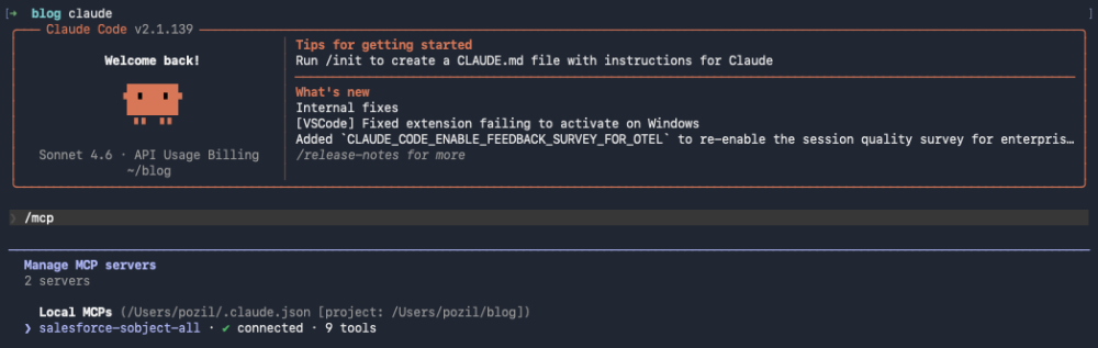 Screenshot of Claude Code showing the newly added MCP server in the “connected” state