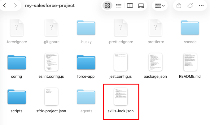 Screenshot of a Salesforce Project folder showing installed skills