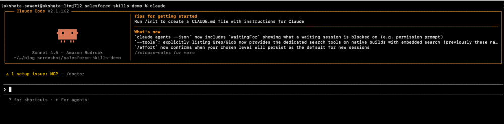 Claude Code command-line interface showing the welcome message and prompt ready for input
