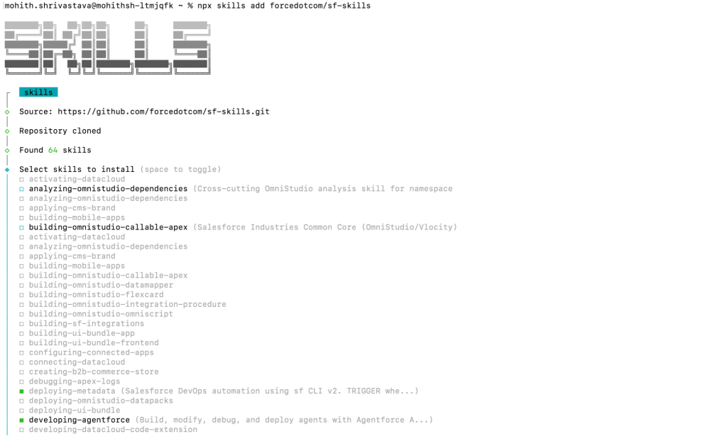 A terminal showing the Agent Skills install command asking to select list of installed skills