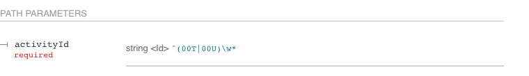 Screenshot of a required path parameter showing its type alongside the pattern