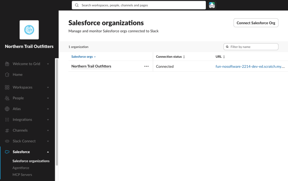 Screenshot of a Slack organization configuration showing a connected Salesforce org
