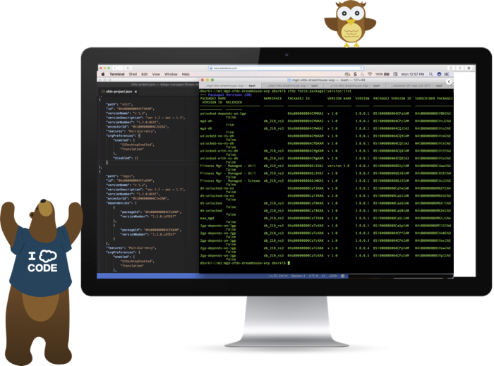 Codey celebrates Salesforce DX projects and CLIs