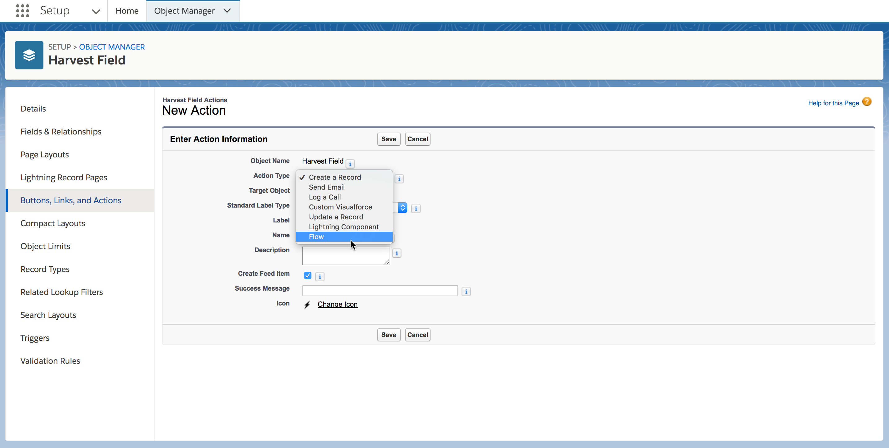 Flow as Action Type picklist value